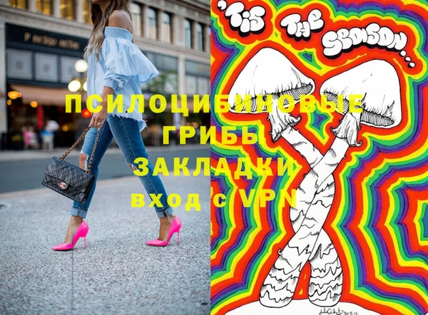 дурь Алексин