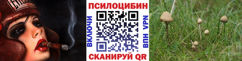 Галлюциногенные грибы мухоморы  KRAKEN зеркало  Мамоново 